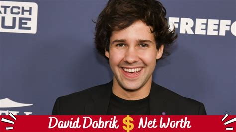 david dobrik net worth|David Dobrik Net Worth 2024: How Much Money。